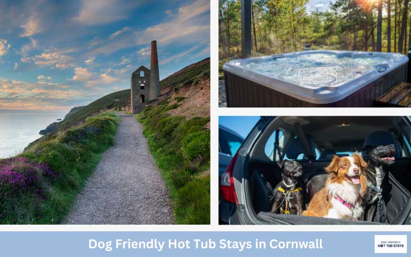 Cornwall dog friendly cottages with hot tubs