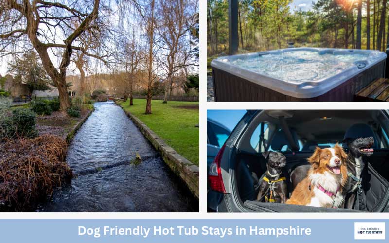 Hampshire dog friendly cottages with hot tubs