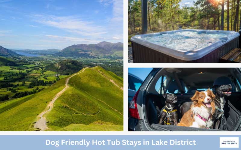 Lake District dog friendly cottages with hot tubs