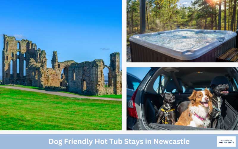 Newcastle dog friendly cottages with hot tubs