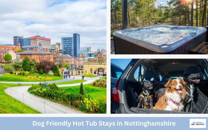 Nottinghamshire dog friendly cottages with hot tubs