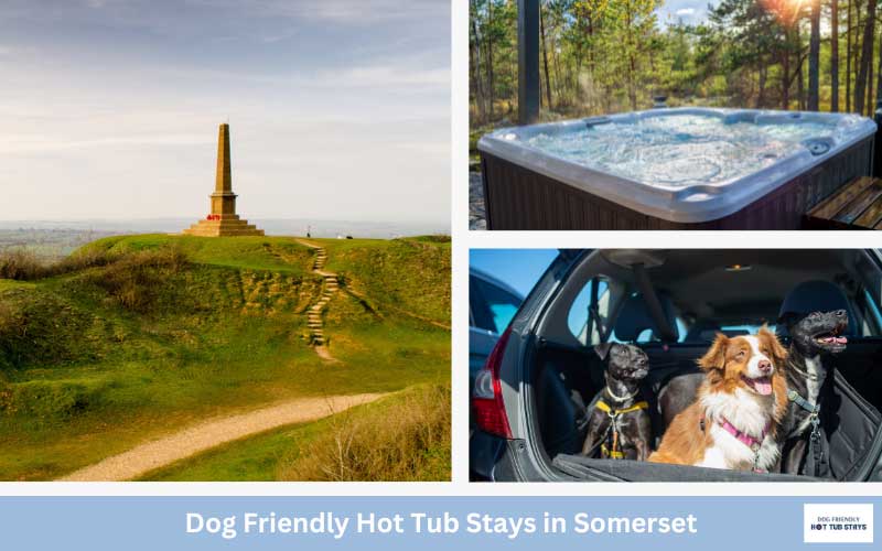 Somerset dog friendly cottages with hot tubs