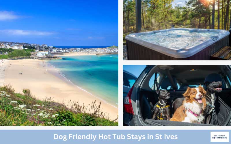 St Ives dog friendly cottages with hot tubs