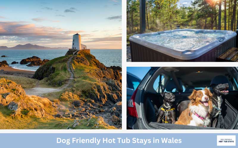 Wales dog friendly cottages with hot tubs